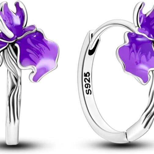 NARMO Boucles d'oreilles femmes argent 925 sterling coloré coeur hoops plumes