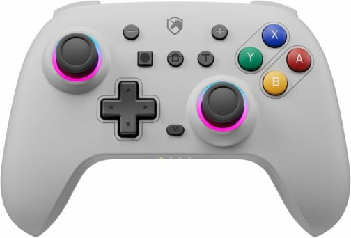 ECHTPower Manette Switch Gris, 2024 Couleur Rétro Manette Switch Sans Fil ave