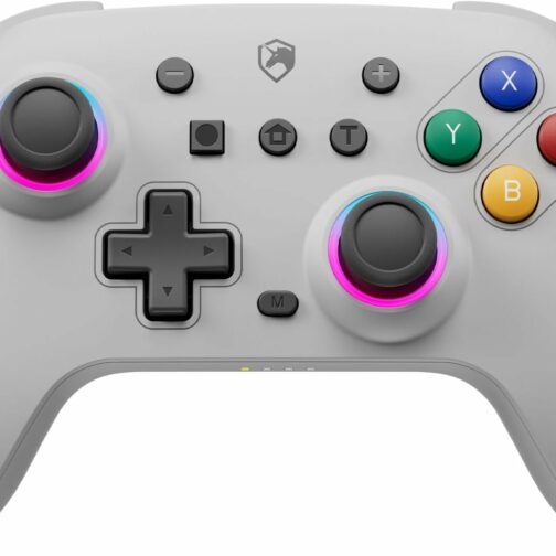ECHTPower Manette Switch Gris, 2024 Couleur Rétro Manette Switch Sans Fil ave