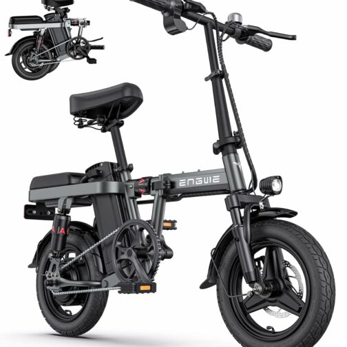 ENGWE Draisienne Electrique Adulte Velo Electrique Vélo Électrique avec Batte