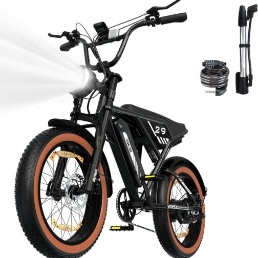 RCB 20" Vélo électrique, VTT Électrique Adulte, Batterie Amovible 48V15Ah,Mot