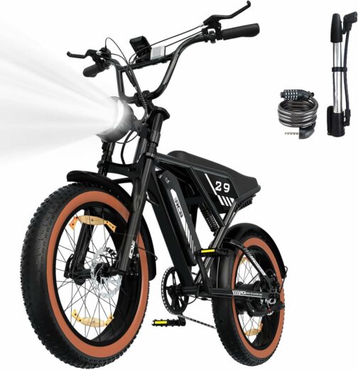 RCB 20" Vélo électrique, VTT Électrique Adulte, Batterie Amovible 48V15Ah,Mot