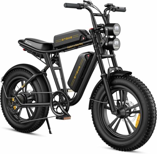 ENGWE E Bike Hommes Vélo électrique-Ebike avec Une Batterie/ 2 Batteries, E-B